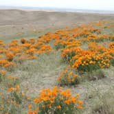 Review photo of Saddleback Butte State Park Campground by Megan B., September 18, 2018