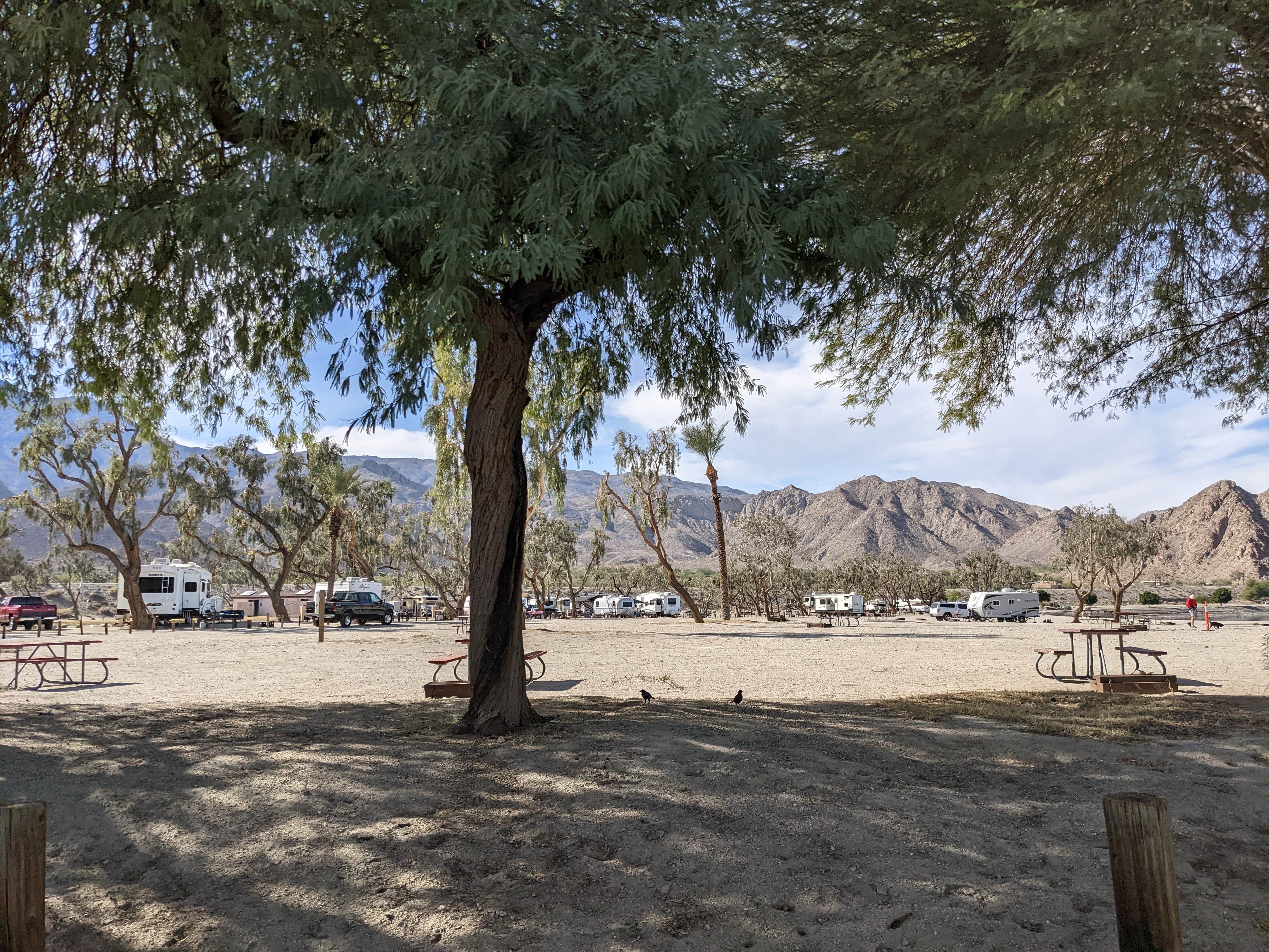 Camper submitted image from Lake Cahuilla - 3