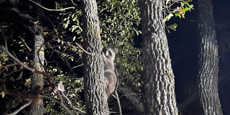 Camper submitted image from Rock Tower — Lake Murray State Park