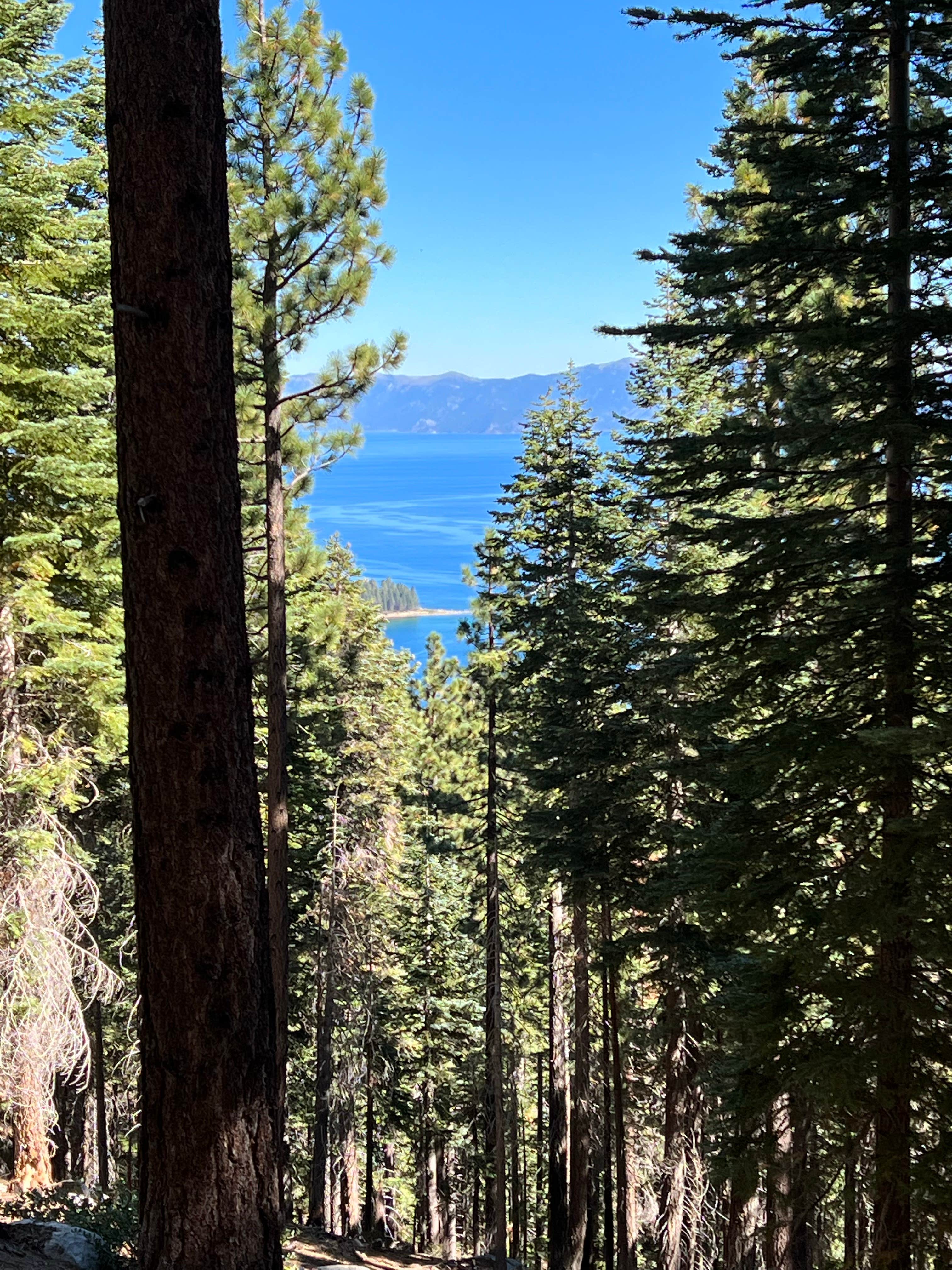 Camper-submitted photo at RV Village Campground At Camp Richardson Resort — Lake Tahoe Basin Management Unit near Gardnerville, NV