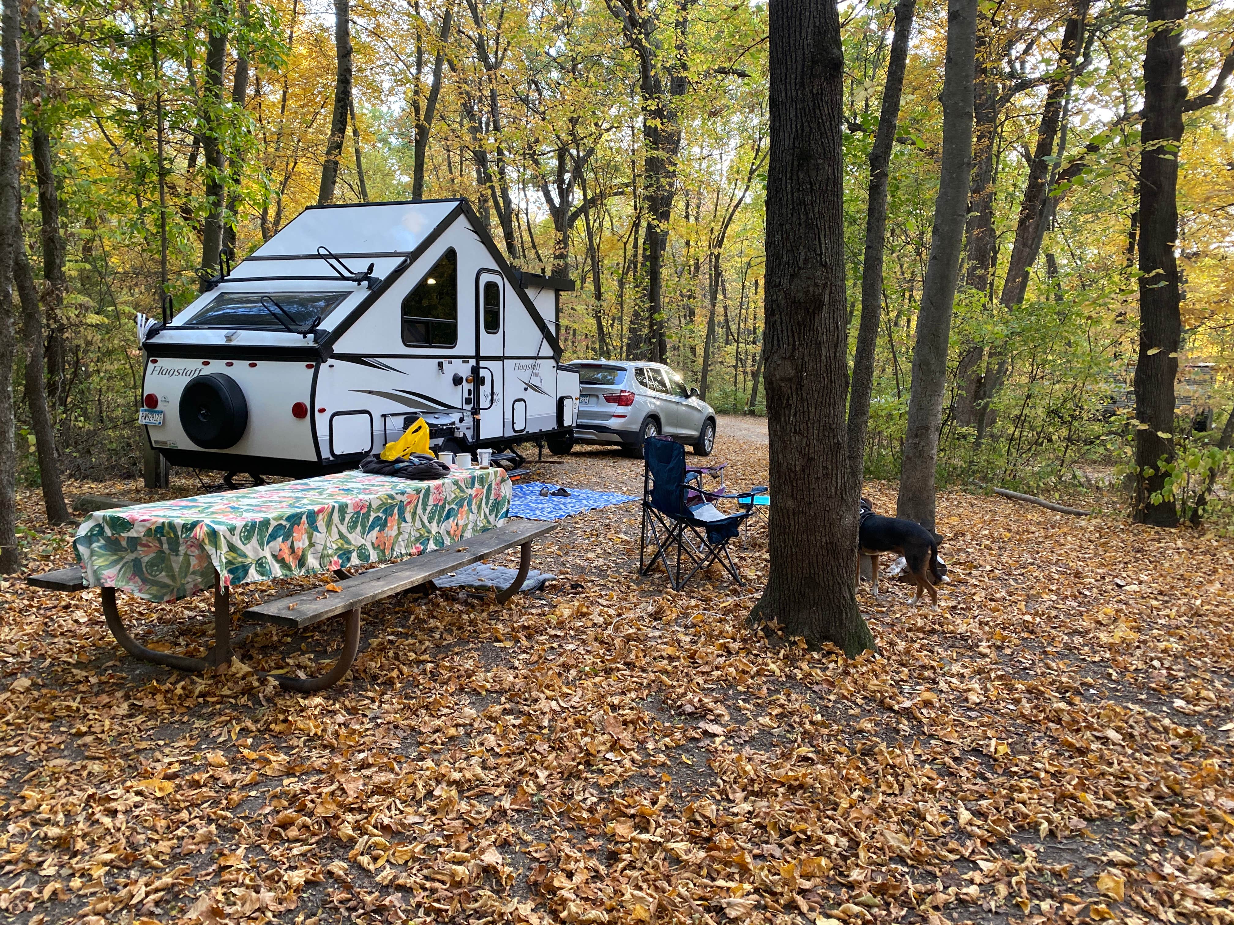 Lindsay T.'s photo of rv camping at Sakatah Lake State Park Campground near Skyline, MN