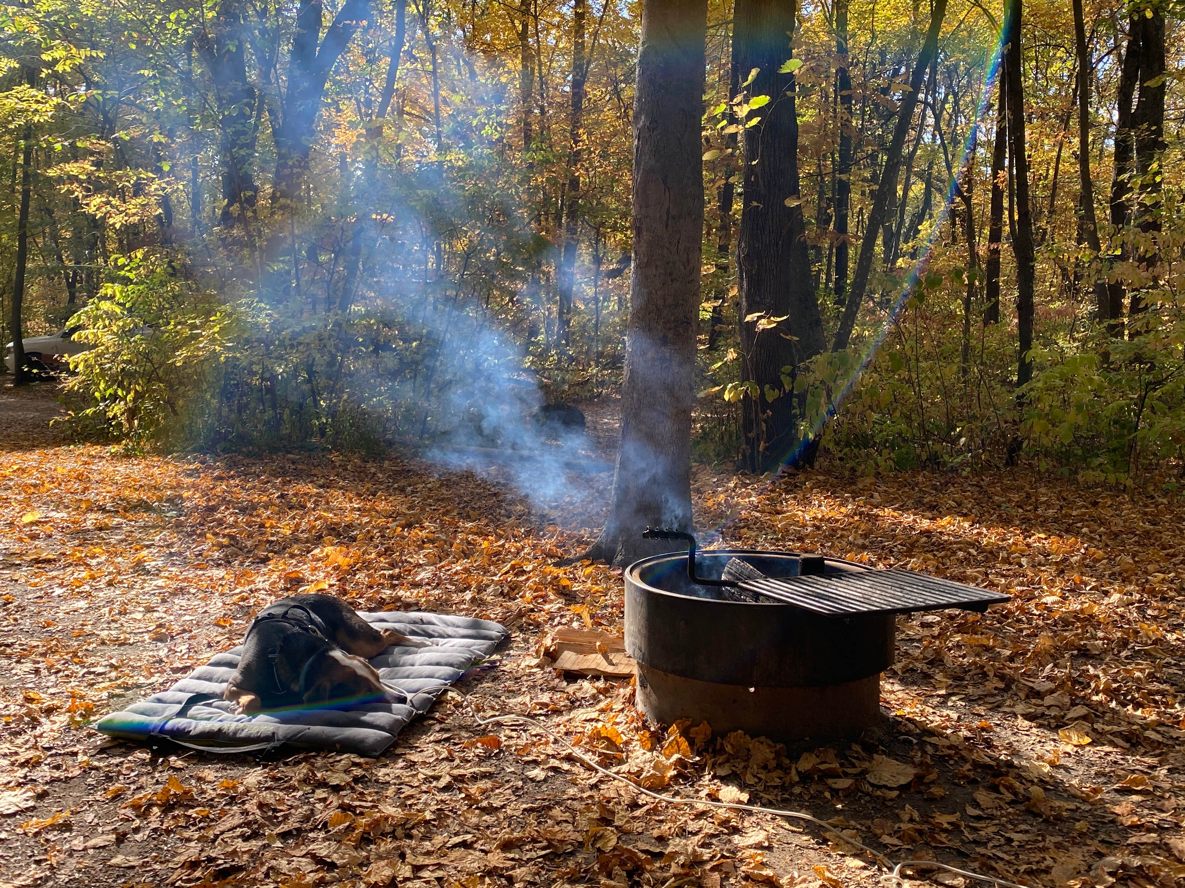 Lindsay T.'s photo of camping with pets at Sakatah Lake State Park Campground near Owatonna, MN