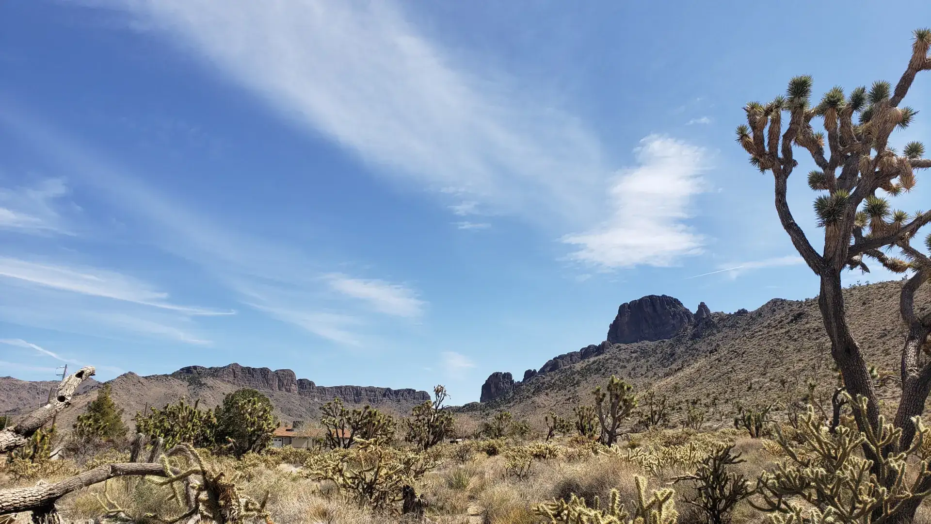 Camper-submitted photo at 22 Vikings Camp and Cabin near Dolan Springs, AZ