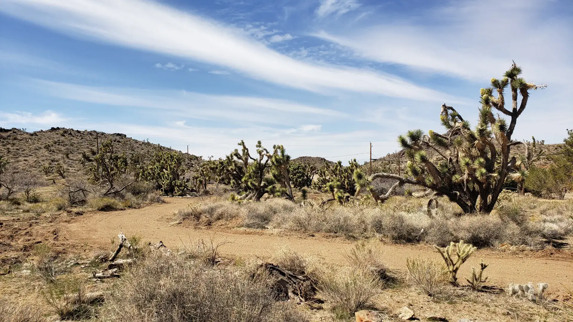 Camper-submitted photo at 22 Vikings Camp and Cabin near Dolan Springs, AZ