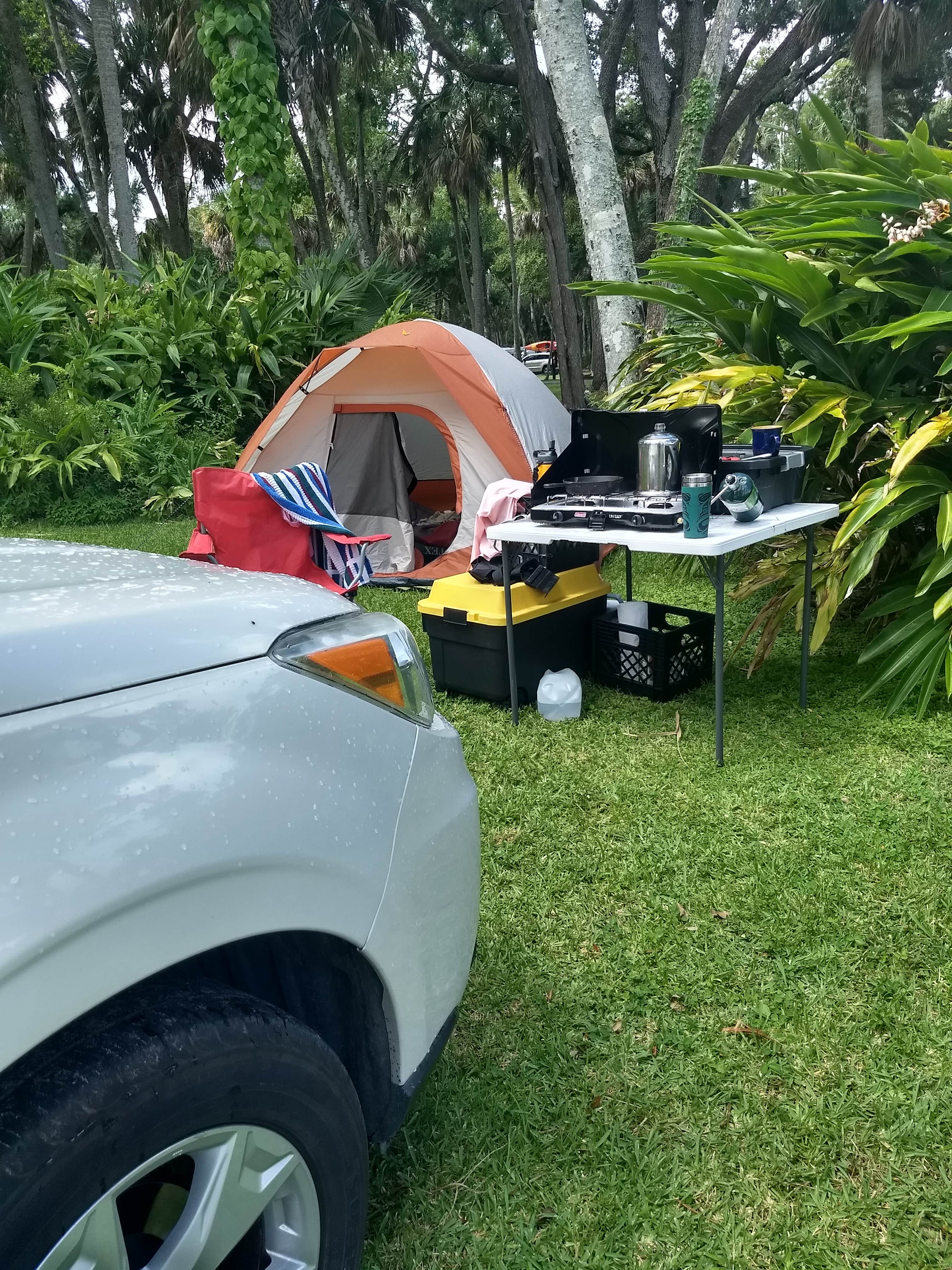 Camper submitted image from Manatee Hammock Campground - 5