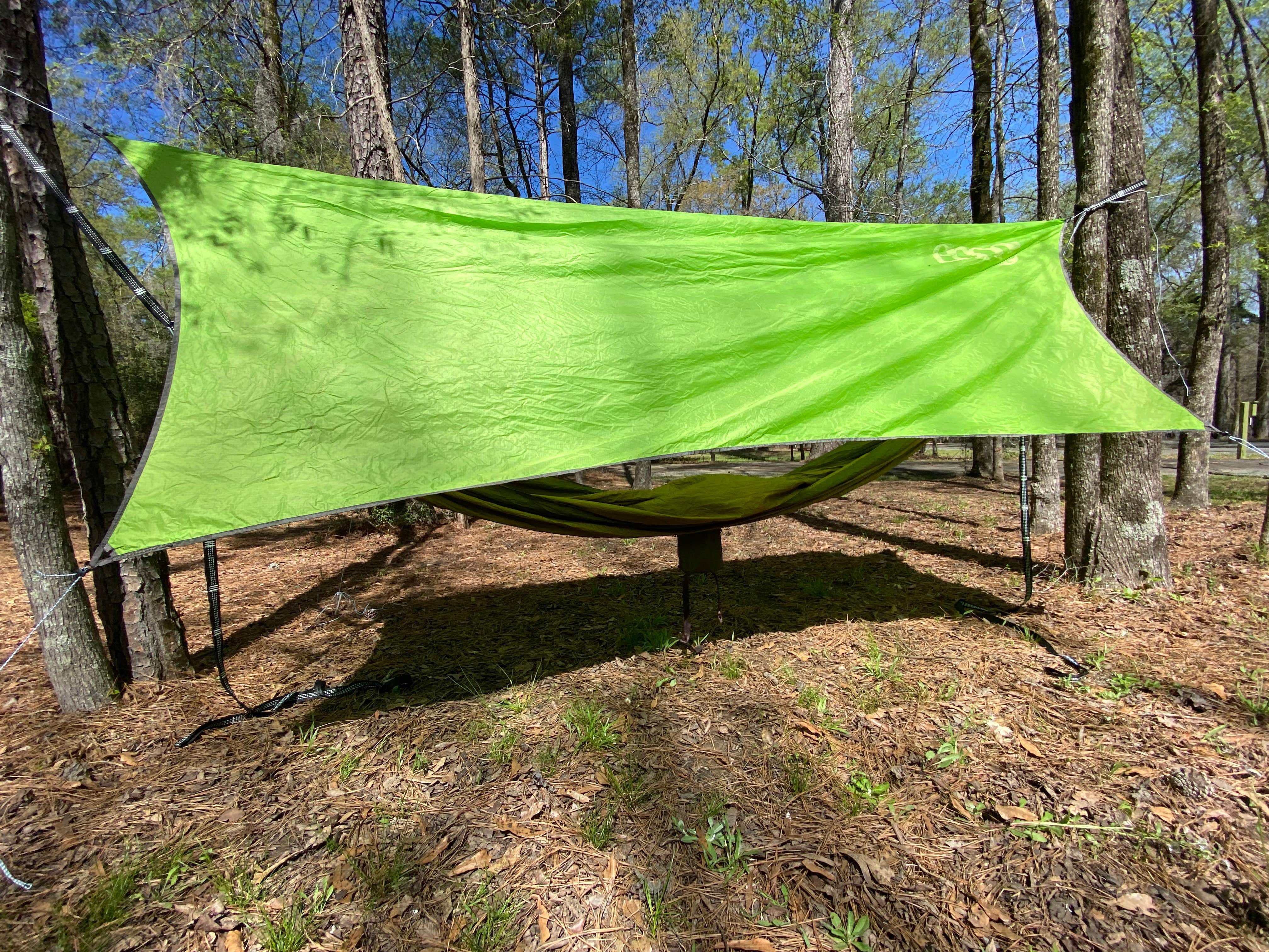 Camper submitted image from Lake Bistineau State Park Campground - 4