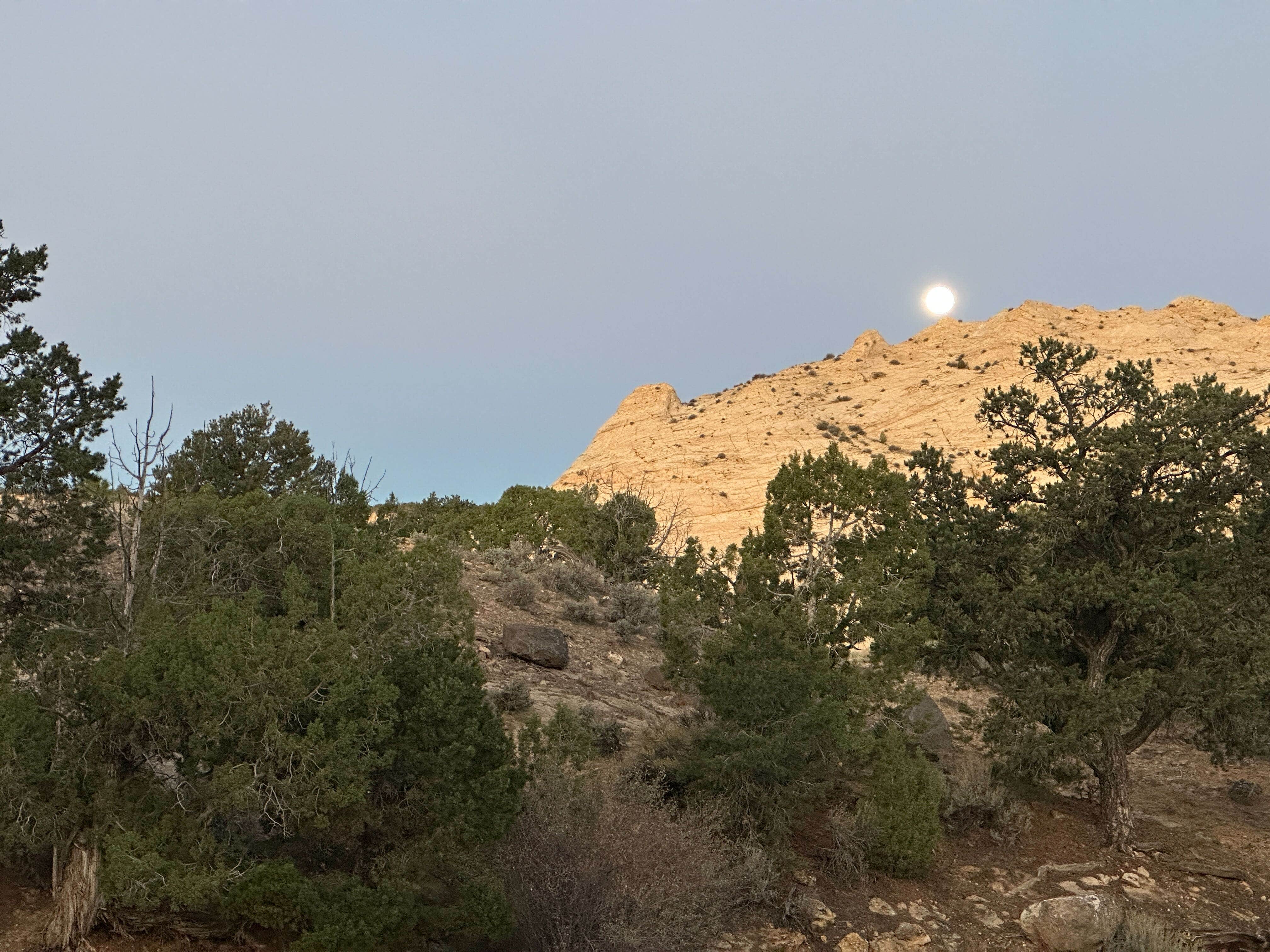 Camping near Deer Creek Campground: Durffey Mesa, Boulder, Utah