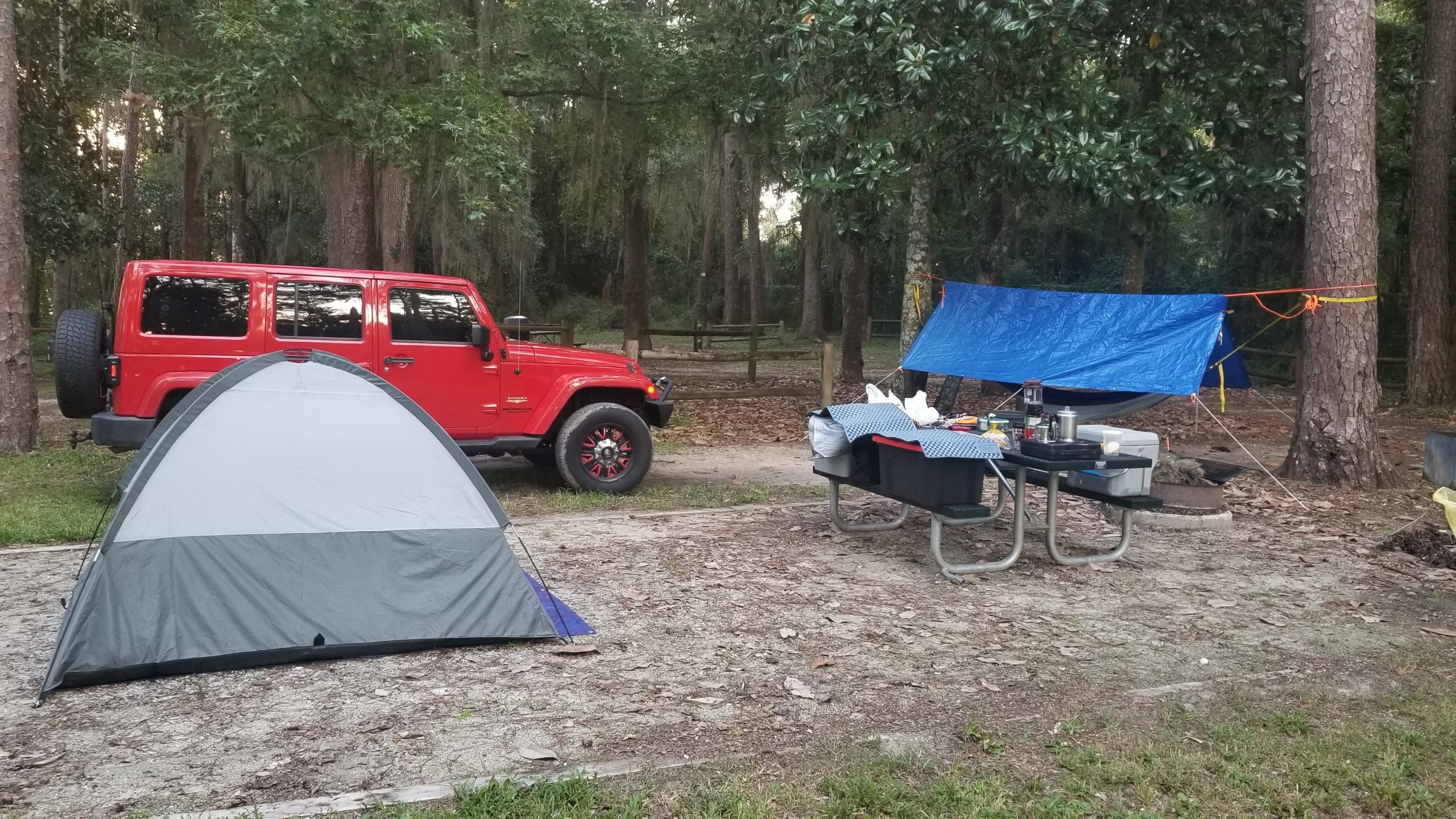 Camper submitted image from Williams Landing Campground - 4