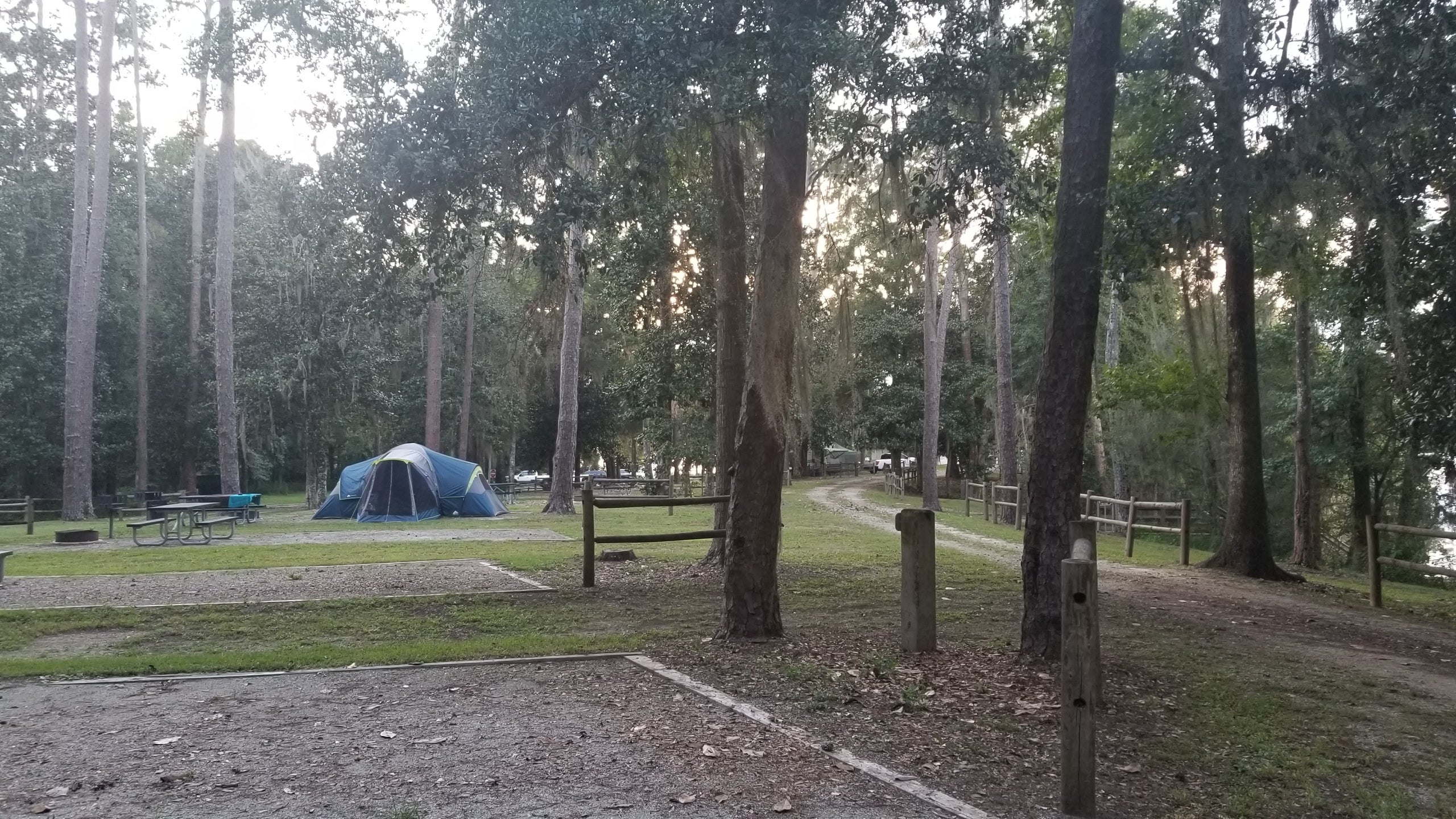 Camper submitted image from Williams Landing Campground - 2