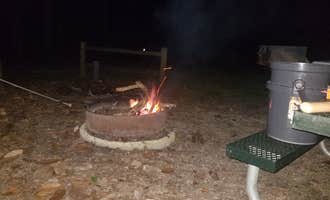 Camping near Ed and Bernices Fish Camp and RV Park: Williams Landing Campground, Midway, Florida