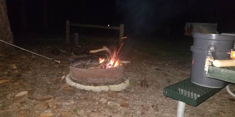 Camper submitted image from Williams Landing Campground