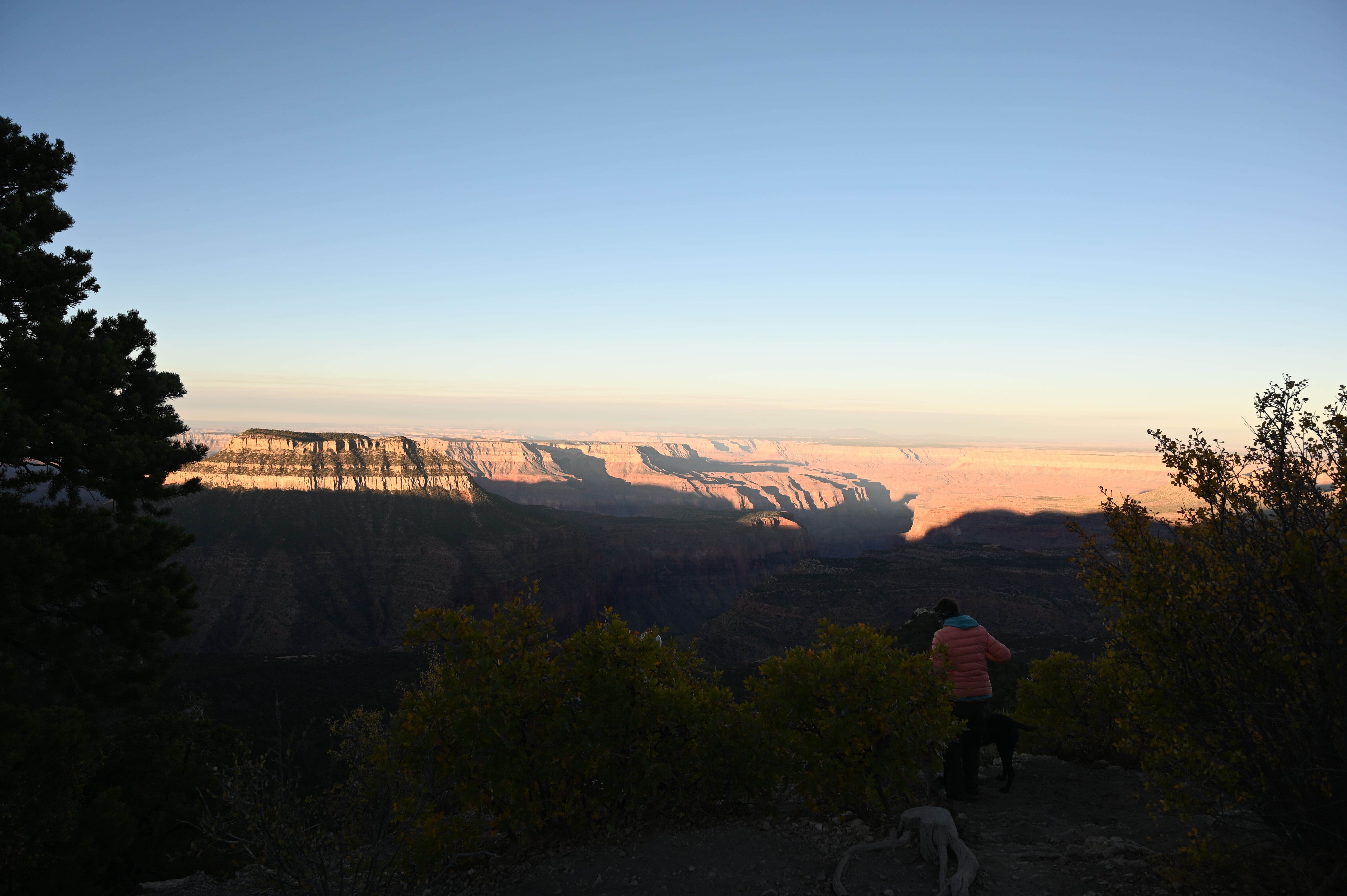 Drew T.'s photo of a dispersed camping area at North Timp Point near Grand Canyon National Park