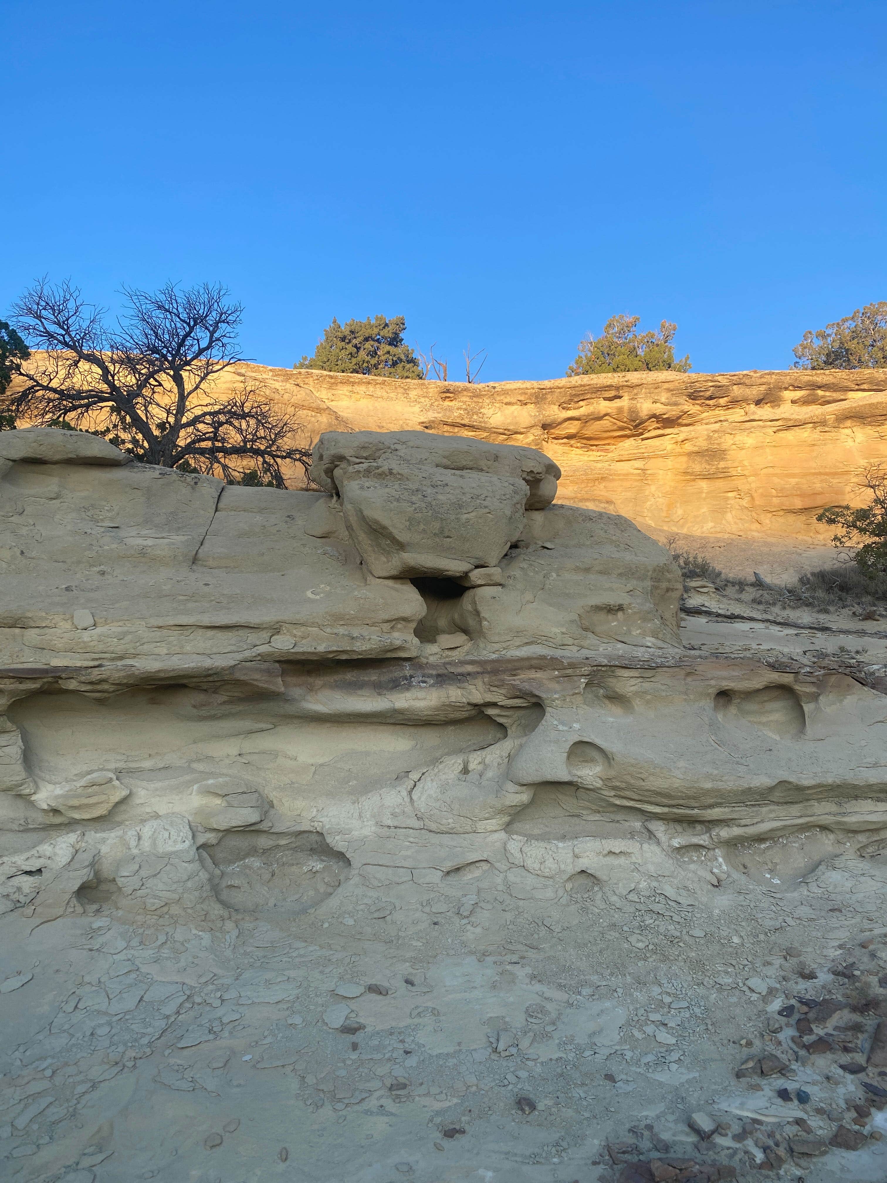 Camper-submitted photo at Camel Head Camp near Prewitt, NM