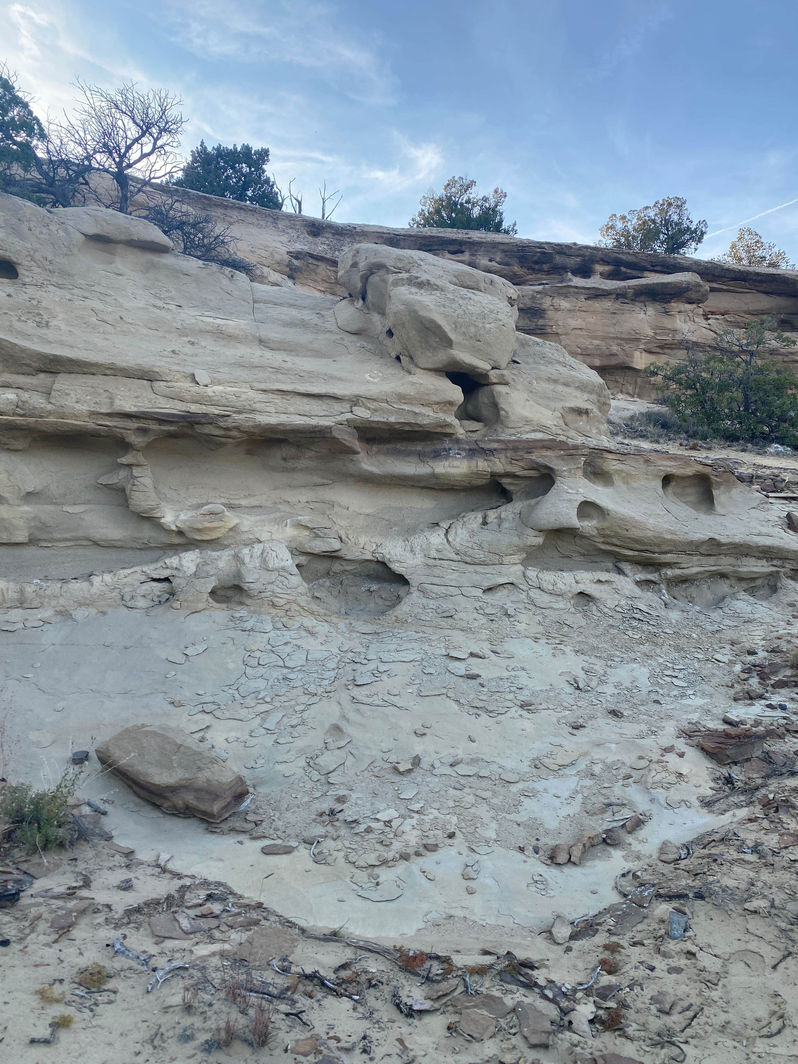 Camper-submitted photo at Camel Head Camp near Prewitt, NM