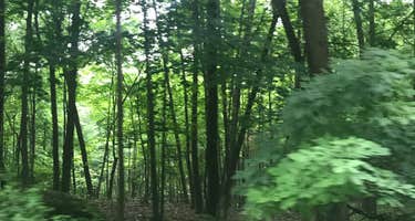 Chushons Peak Campground