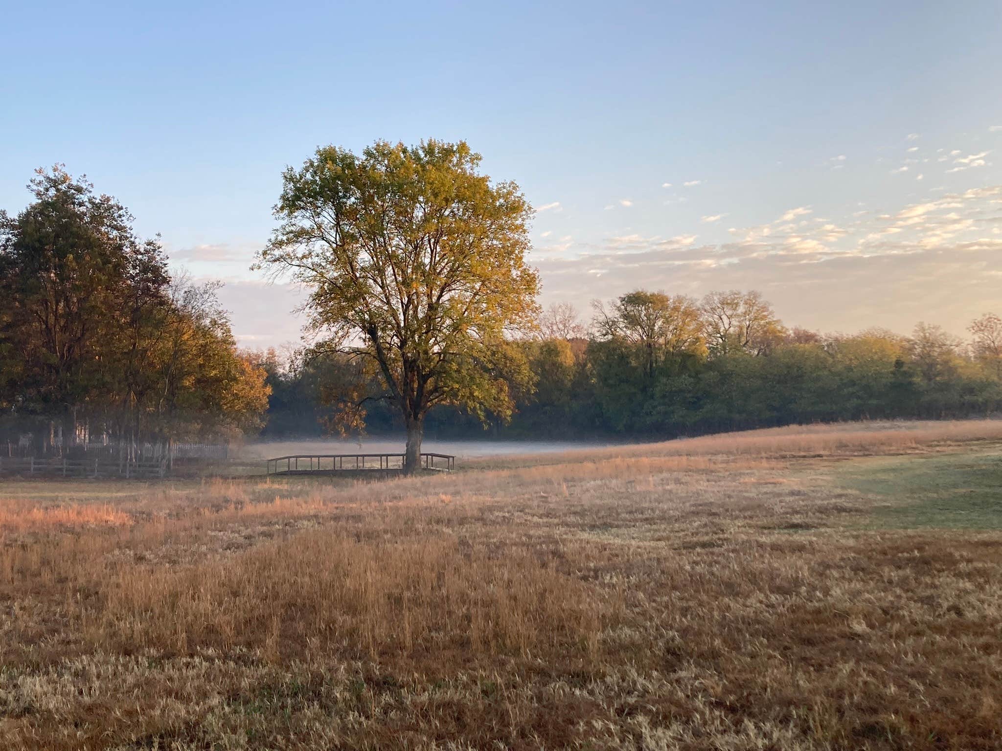 Camper-submitted photo at Peacock in the Delta near Brooklyn, MS