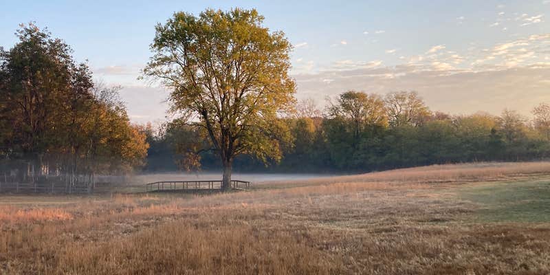 Camper submitted image from Peacock in the Delta