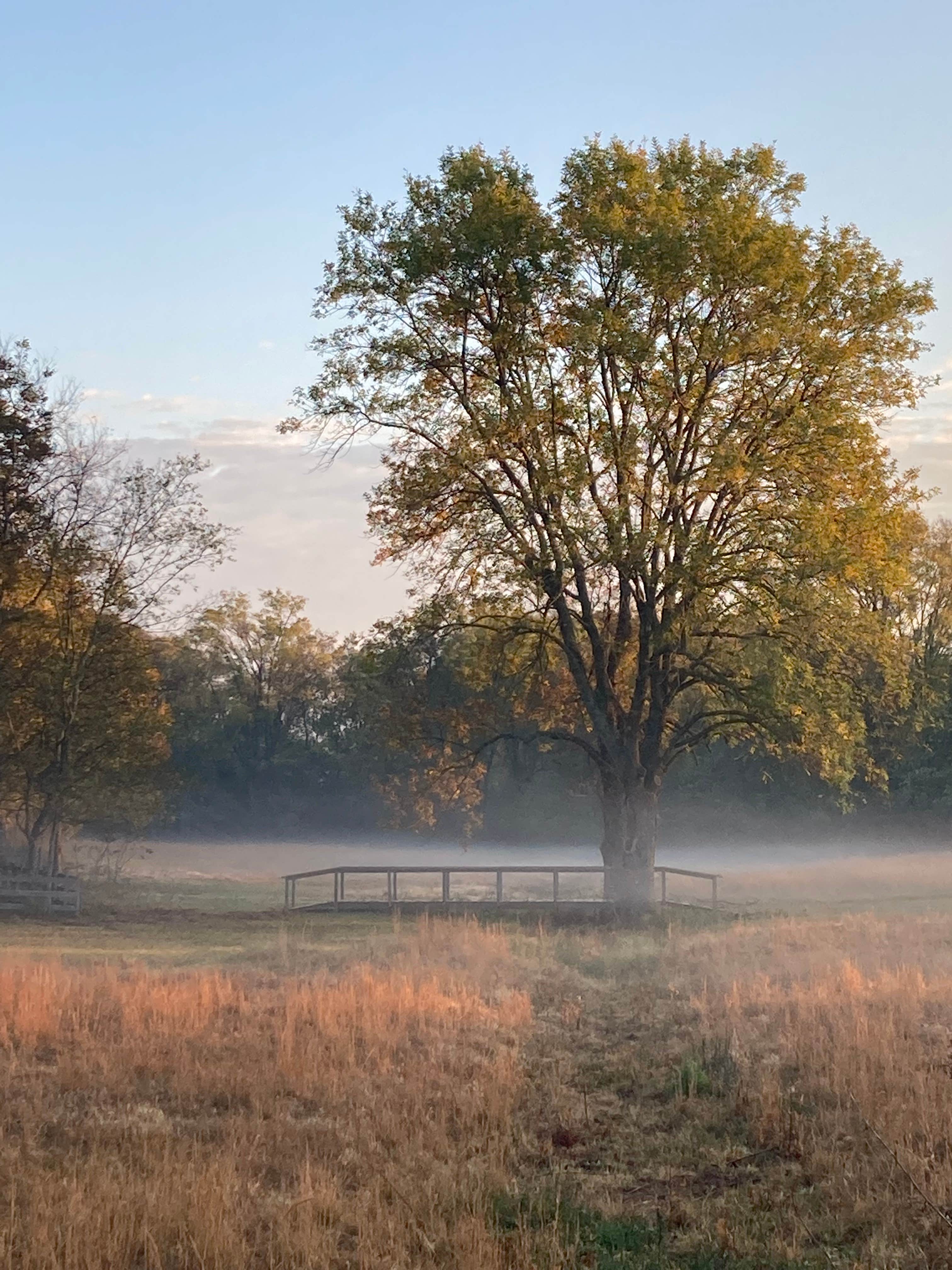 Camper-submitted photo at Peacock in the Delta near Brooklyn, MS