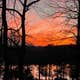 Riley Creek