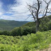 Review photo of Luray RV Resort on Shenandoah River by Casey L., June 22, 2022