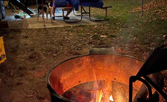 Tamara W.'s photo of camping with pets at Hocking Hills State Park Campground near Nelsonville, OH