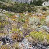 Review photo of Big Pine Creek Campground by Ryan W., August 9, 2016