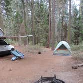 Review photo of Crane Flat Campground — Yosemite National Park by Megan B., September 18, 2018