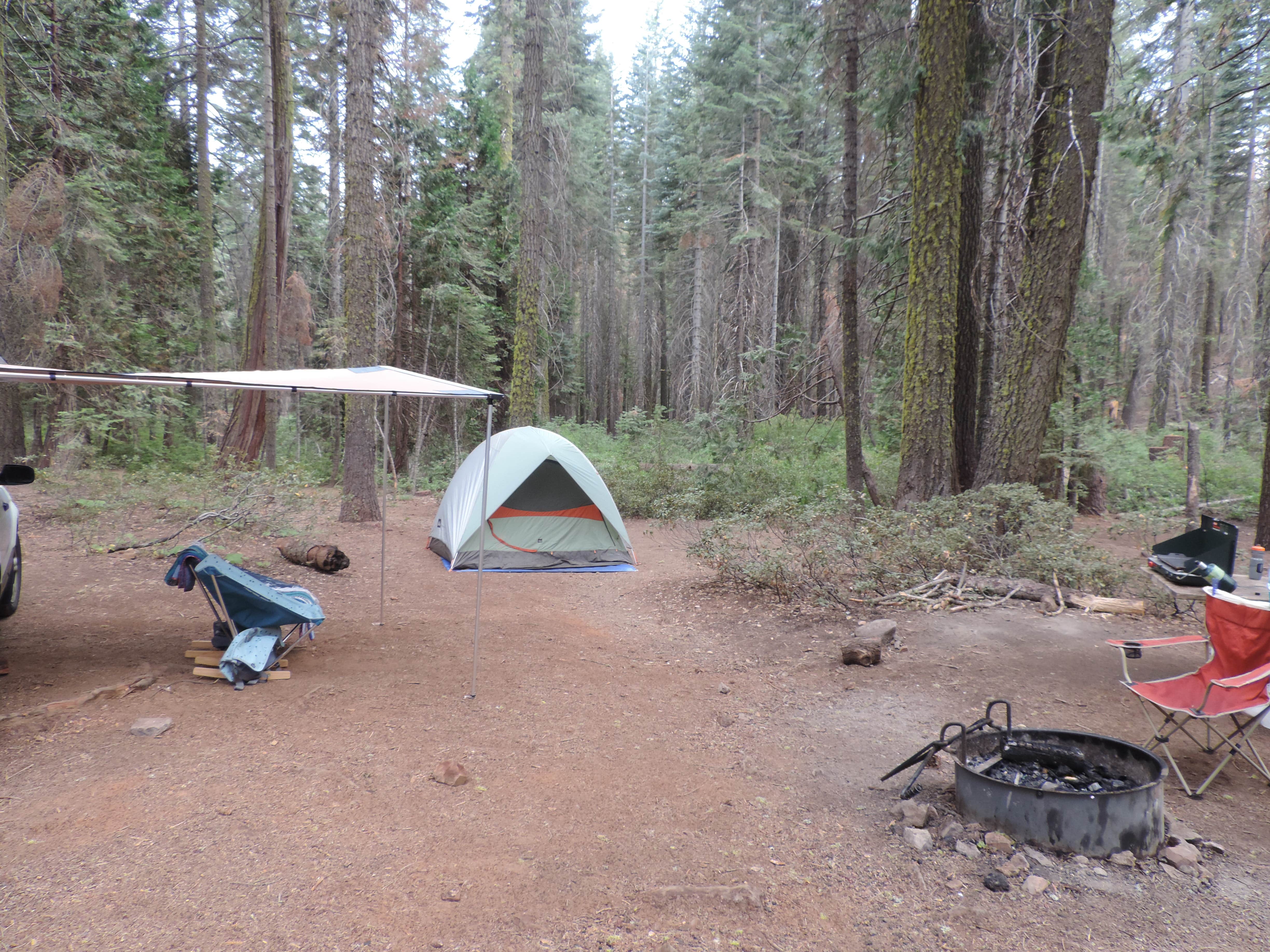 Megan B.'s photo at Crane Flat Campground — Yosemite National Park near El Portal, CA
