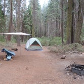 Review photo of Crane Flat Campground — Yosemite National Park by Megan B., September 18, 2018