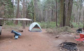 Megan B.'s photo at Crane Flat Campground — Yosemite National Park near El Portal, CA