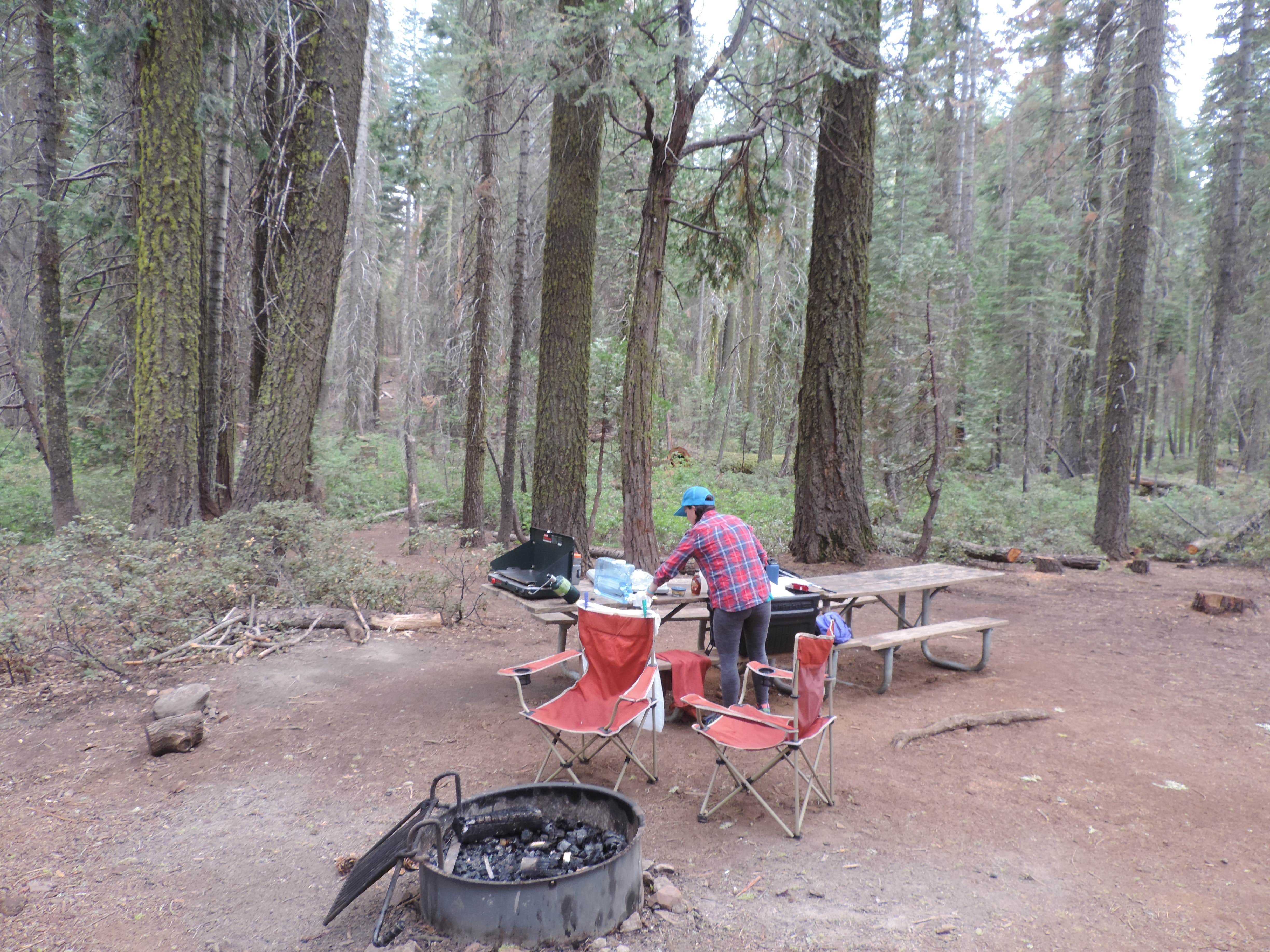 Megan B.'s photo at Crane Flat Campground — Yosemite National Park near El Portal, CA