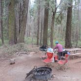 Review photo of Crane Flat Campground — Yosemite National Park by Megan B., September 18, 2018