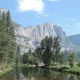 Review photo of Crane Flat Campground — Yosemite National Park by Megan B., September 18, 2018