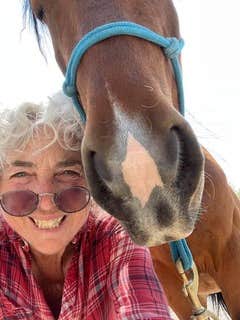 Camper submitted image from Artsy cabin on horse sanctuary - 2