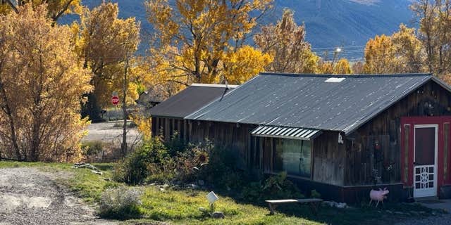 Camper submitted image from Artsy cabin on horse sanctuary