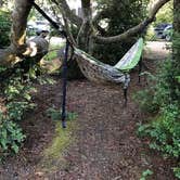 Review photo of Eel Creek Campground by Jill R., September 18, 2018