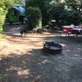 Review photo of Eel Creek Campground by Jill R., September 18, 2018