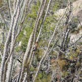 Review photo of Borrego Palm Canyon Campground — Anza-Borrego Desert State Park by Megan B., September 18, 2018