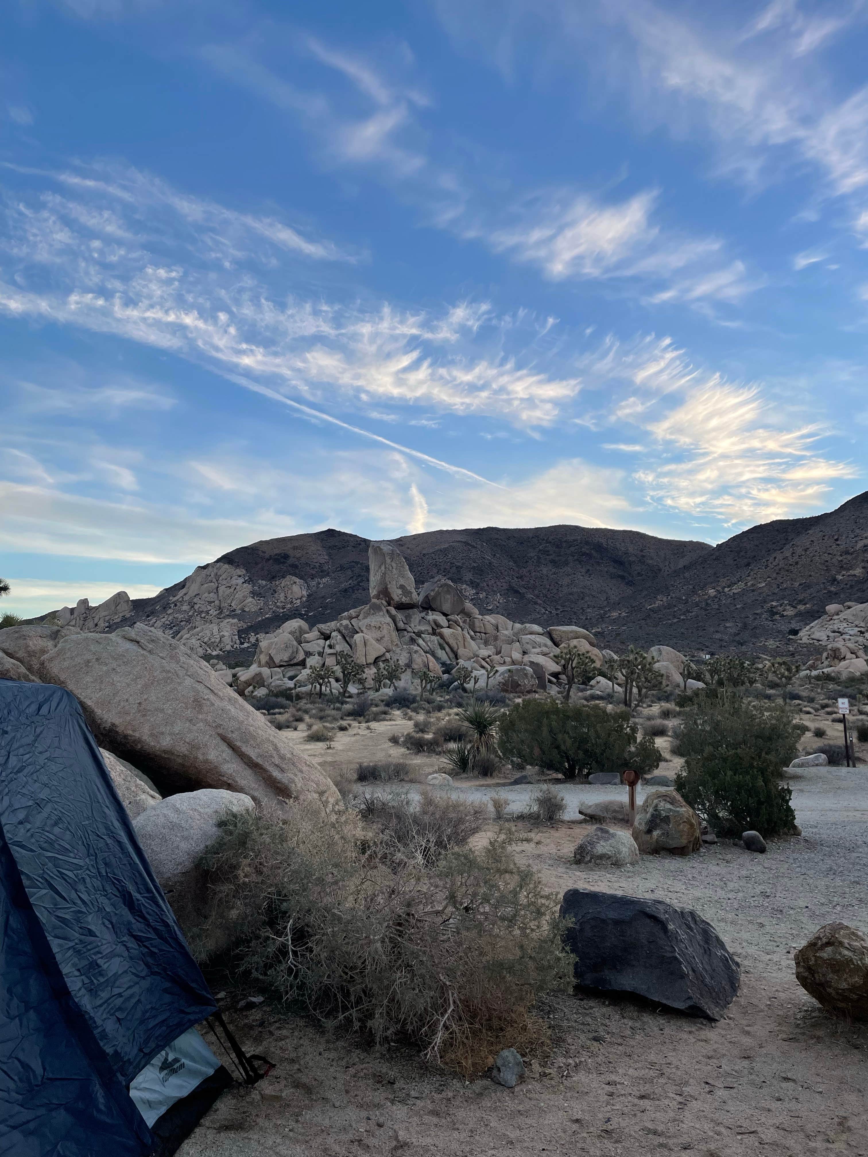 Randall G.'s photo at Ryan Campground — Joshua Tree National Park near Bermuda Dunes, CA