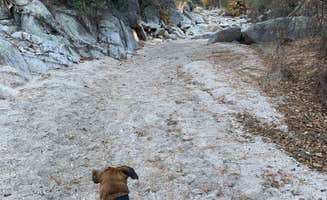 Pedro G.'s photo of camping with pets at General Hitchcock Campground near Catalina, AZ