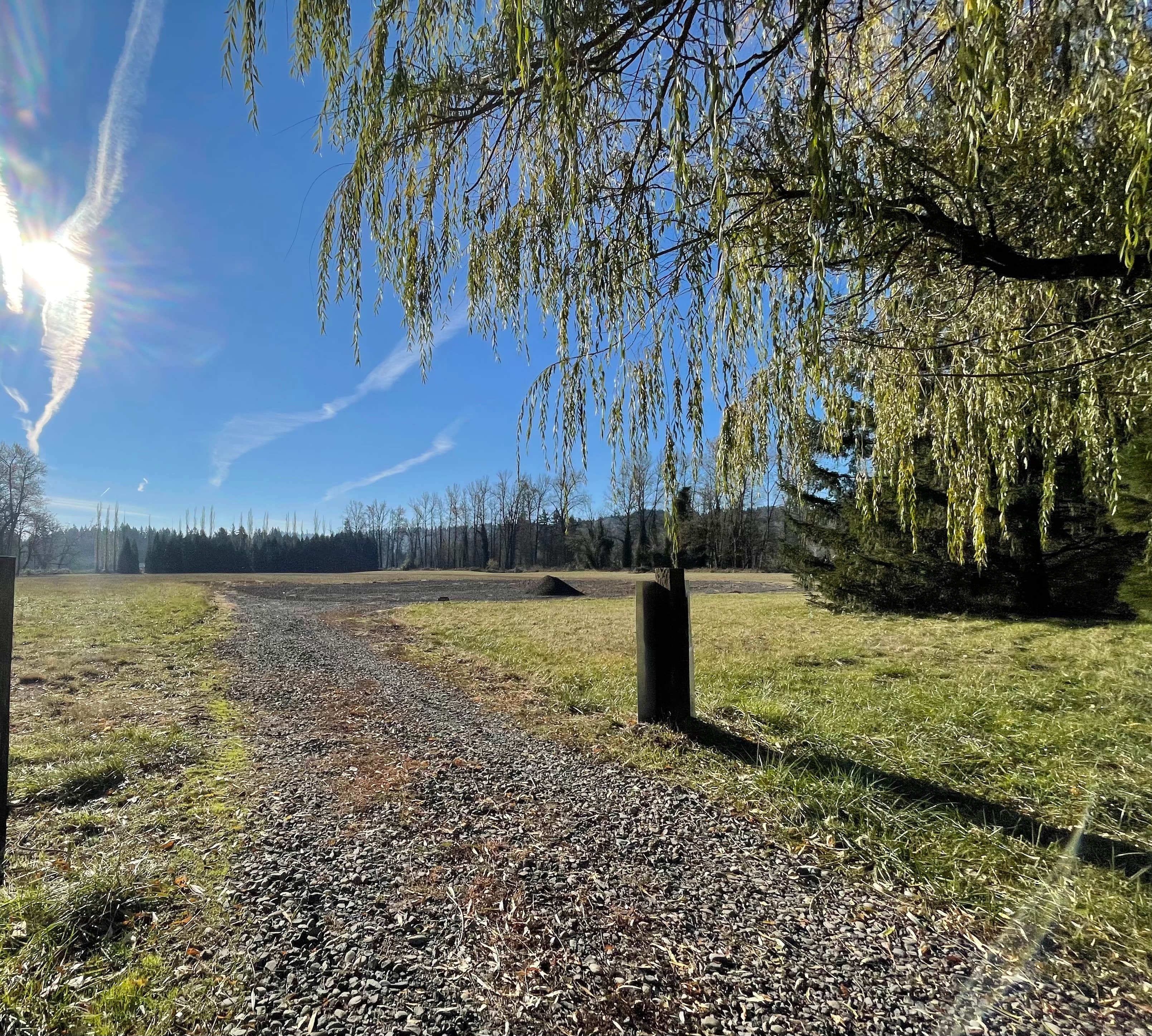 Camper submitted image from Clackamas River Farm - 1