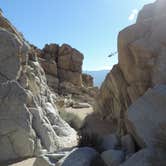 Review photo of Borrego Palm Canyon Campground — Anza-Borrego Desert State Park by Megan B., September 18, 2018