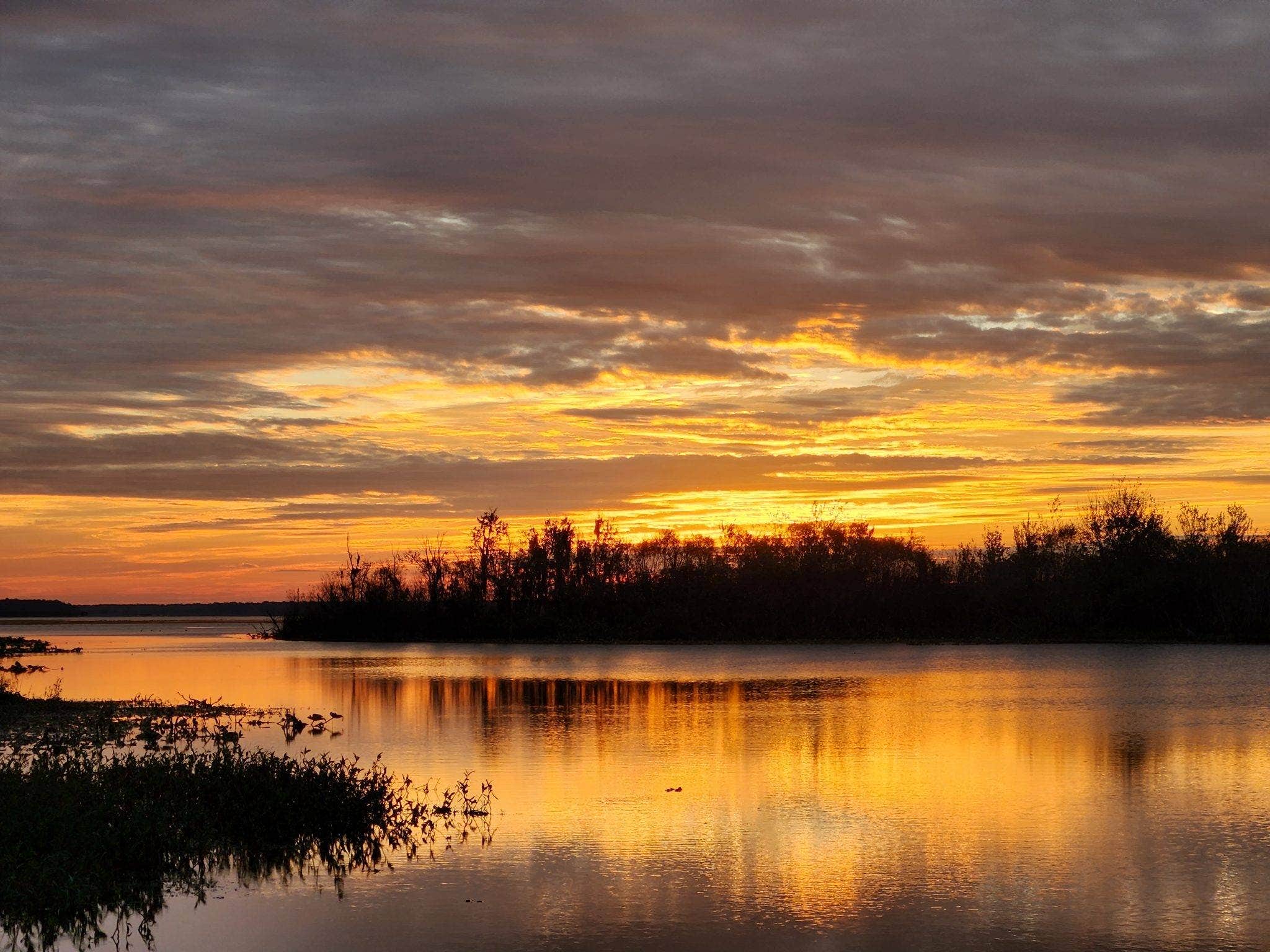 Camper-submitted photo at Sportsman's Cove Resort near Reddick, FL