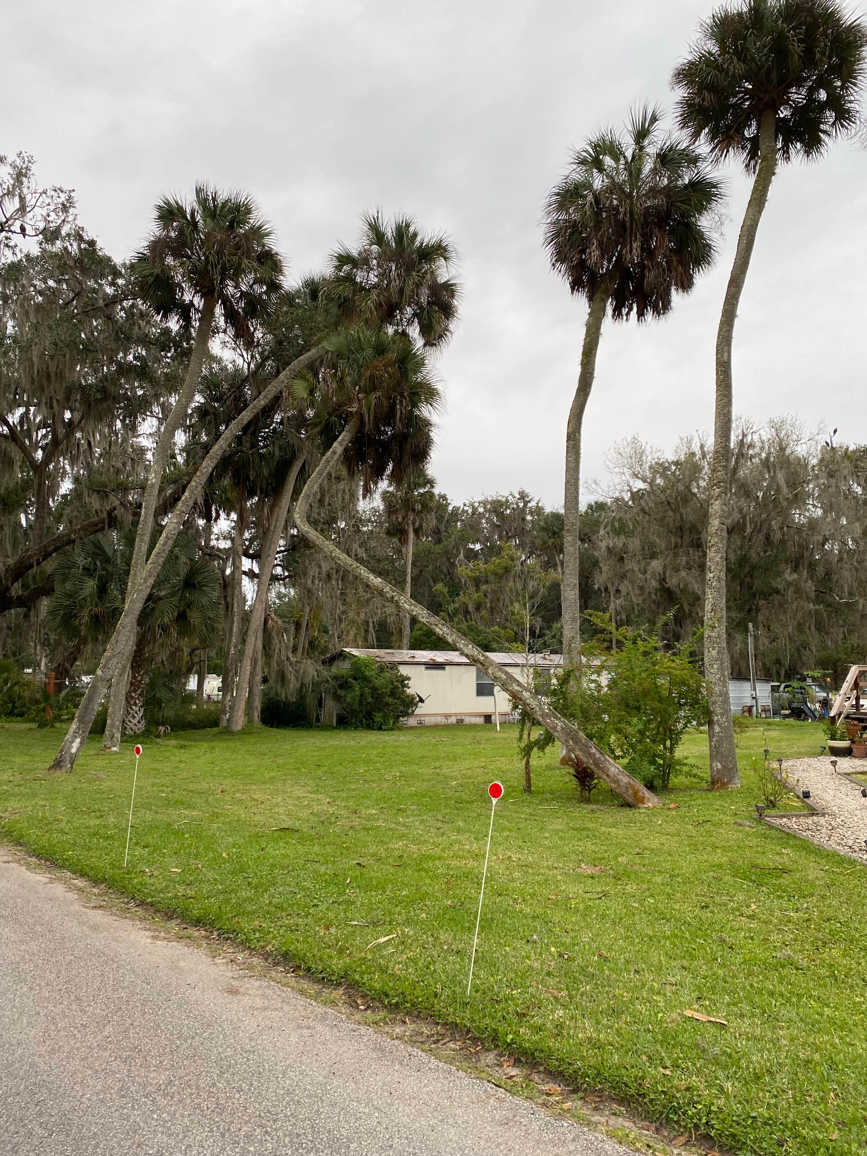 Camper-submitted photo at Sportsman's Cove Resort near Reddick, FL