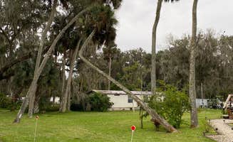Ramona C.'s photo of camping with pets at Sportsman's Cove Resort near Micanopy, FL