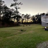 Review photo of OBX Campground by Sarah C., November 24, 2022