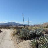 Review photo of Borrego Palm Canyon Campground — Anza-Borrego Desert State Park by Megan B., September 18, 2018