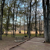 Review photo of Lake Bistineau State Park Campground by David B., November 24, 2022