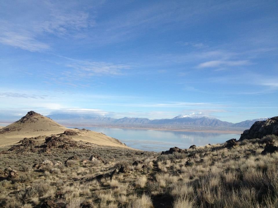 Camper submitted image from White Rock Bay Campground — Antelope Island State Park - 2