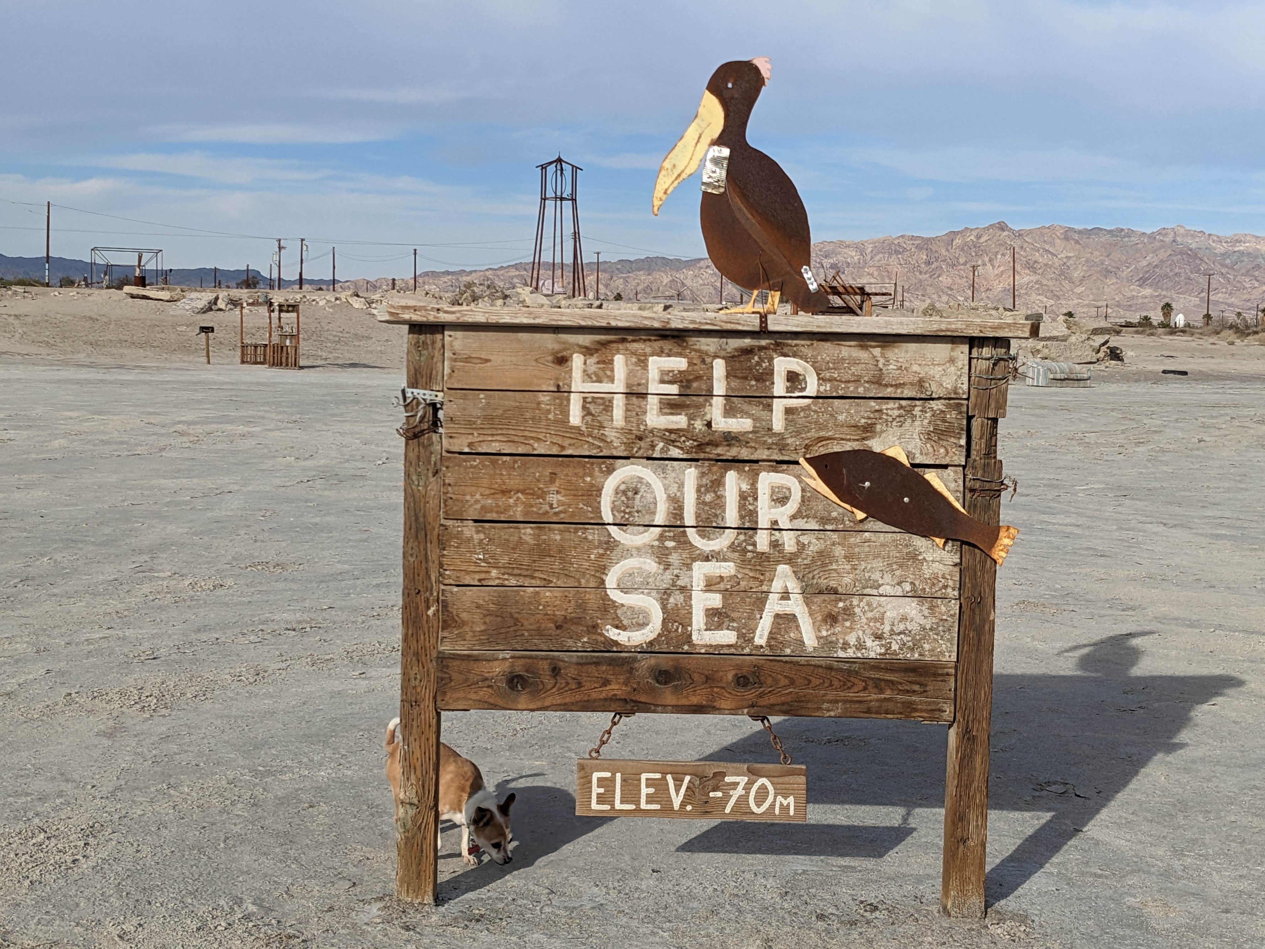 Laura M.'s photo of camping with pets at Bombay Beach - Salton Sea State Rec Area near El Centro, CA